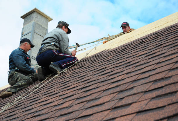 Quick and Trustworthy Emergency Roof Repair Services in Westchase, FL